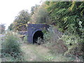 West portals of Clydach tunnel