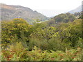 Autumn in the Clydach Gorge