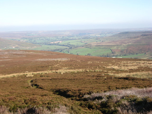 Looking North into Westerdale © T W Eyre :: Geograph Britain and Ireland