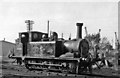 Ex-LB&SC A1X 0-6-0T at Newhaven Locomotive Depot