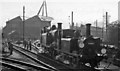 TQ4401 : Newhaven Locomotive Depot with ex-LB&SC 0-6-0T and 0-6-2T by Ben Brooksbank