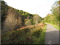 Autumn sun at the site of the former quarry near Varteg