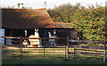 TL4406 : An Essex farmyard by Roger Jones