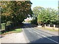 Wighill Lane towards Wighill