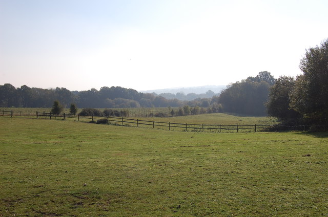 Misty fields off Potter's Lane