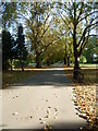 Part of the carriage drive in Southwark Park