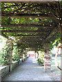 Underneath the pergola