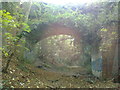 Footbridge over the abandoned railway