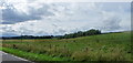 Fields near Luncarty, Perthshire