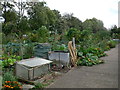 Allotments near the Thames at Kew