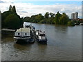 Houseboats moored near Kew Bridge