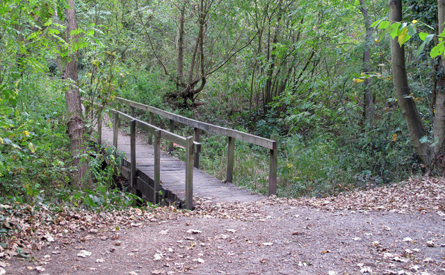 Bridge between Oak and Ash