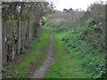 Pathway to Glasshoughton