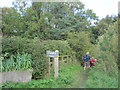 Footpath to Shincliffe  Hall and beyond through The Sliddings woodland