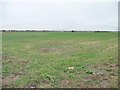 Flat field in the Trent valley