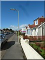 Lamppost in Southcroft Road