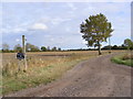 Bridleway to Cratfield Road & Entrance to High House Farm