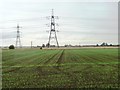 SK7896 : Two fields, two crops, east of Owston Road by Christine Johnstone