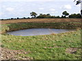 Pond off Cratfield Lane