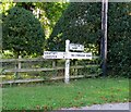 SK6608 : Signpost in Beeby by Andrew Tatlow