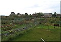 Allotments