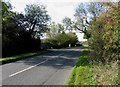 SK8511 : Burley Road towards Langham by Andrew Tatlow