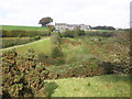 View towards Lyshwell Farm