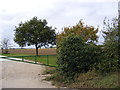 Footpath to Red House Farm & Cratfield Lane