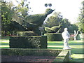 SU9185 : Topiary in the 'Long Garden' by Sarah Charlesworth