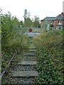 Disused level crossing on an abandoned railway