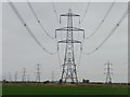 SK7895 : Power lines in the Trent valley by Christine Johnstone