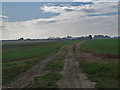 Track to Barsey Walk Farm