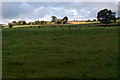 Fields south of Baldarroch Farm, Murthly