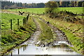 Farm track south of Baldarroch Farm, Murthly