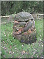 Sculpture of tortoise - Three Sisters Recreation Area