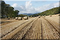 Barley stubble, Lethendy