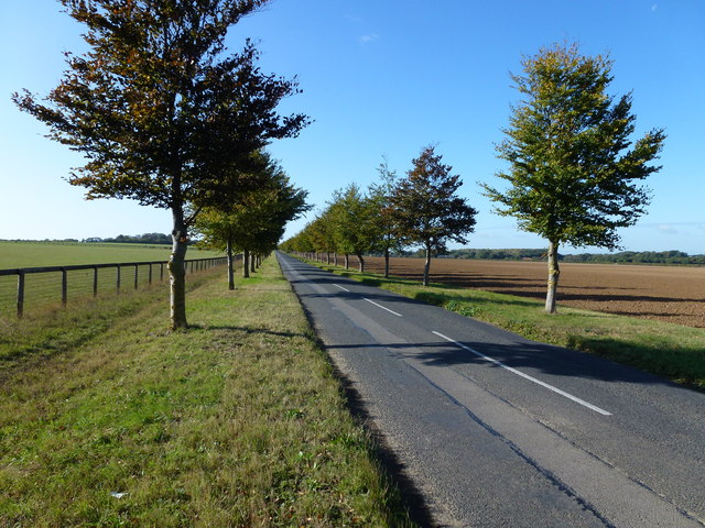Chippenham Road heading to Snailwell near Newmarket