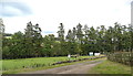 Road to Leys of Marlee near Kinloch, Perthshire