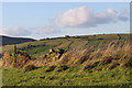 Lark Hill, near Parkfield, Dobcross