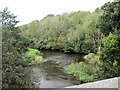 Afon Teifi from Pont Llanio