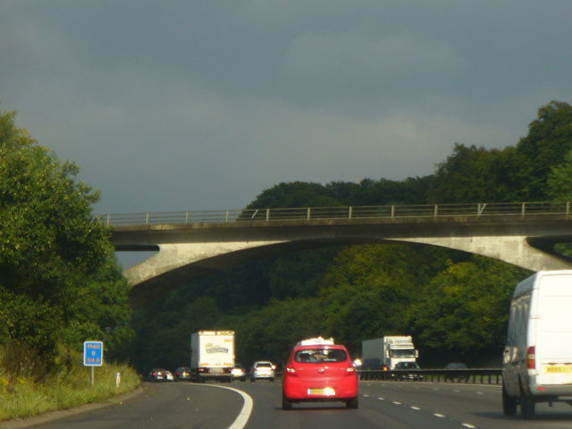 Bridge by Hailey Wood