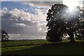 Stoodleigh : Grassy Fields & Countryside