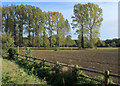 2011 : Ploughed field in the Wylye Valley