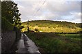 Mid Devon : Country Road