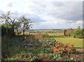 Vegetable garden and view WNW