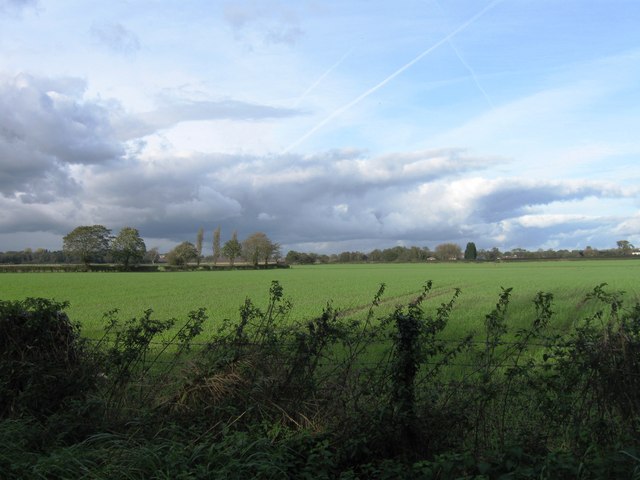 Field north of Hobbs Hill Lane