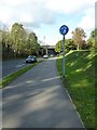 Cyclepath in Chestnut Avenue