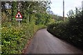 Mid Devon : Country Road