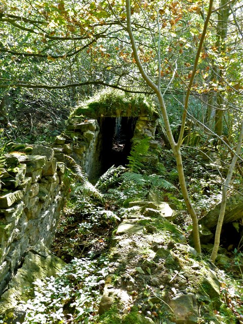 Remains of Flue, Gillfield Wood