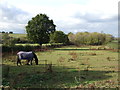 Grazing Land off Geaves Lane